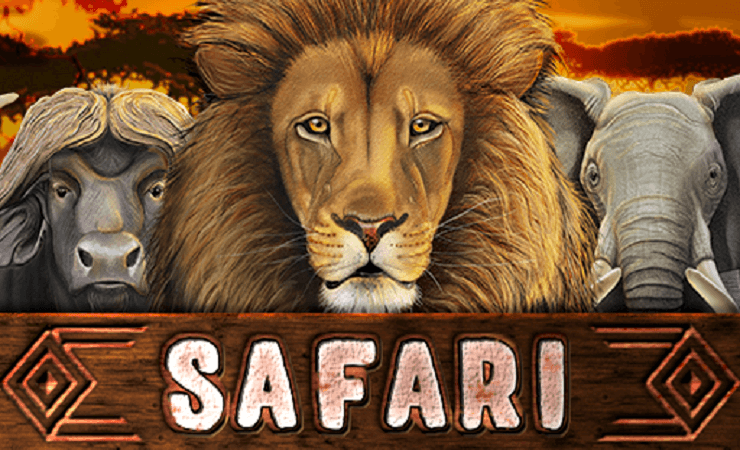 Safari