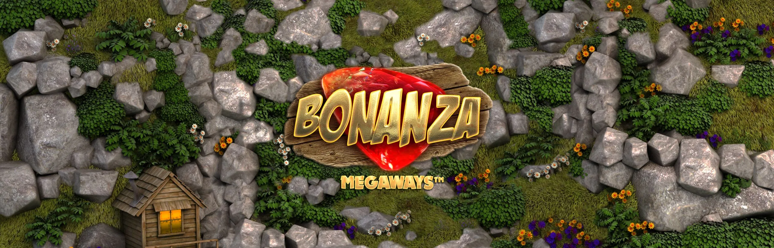 Bonanza