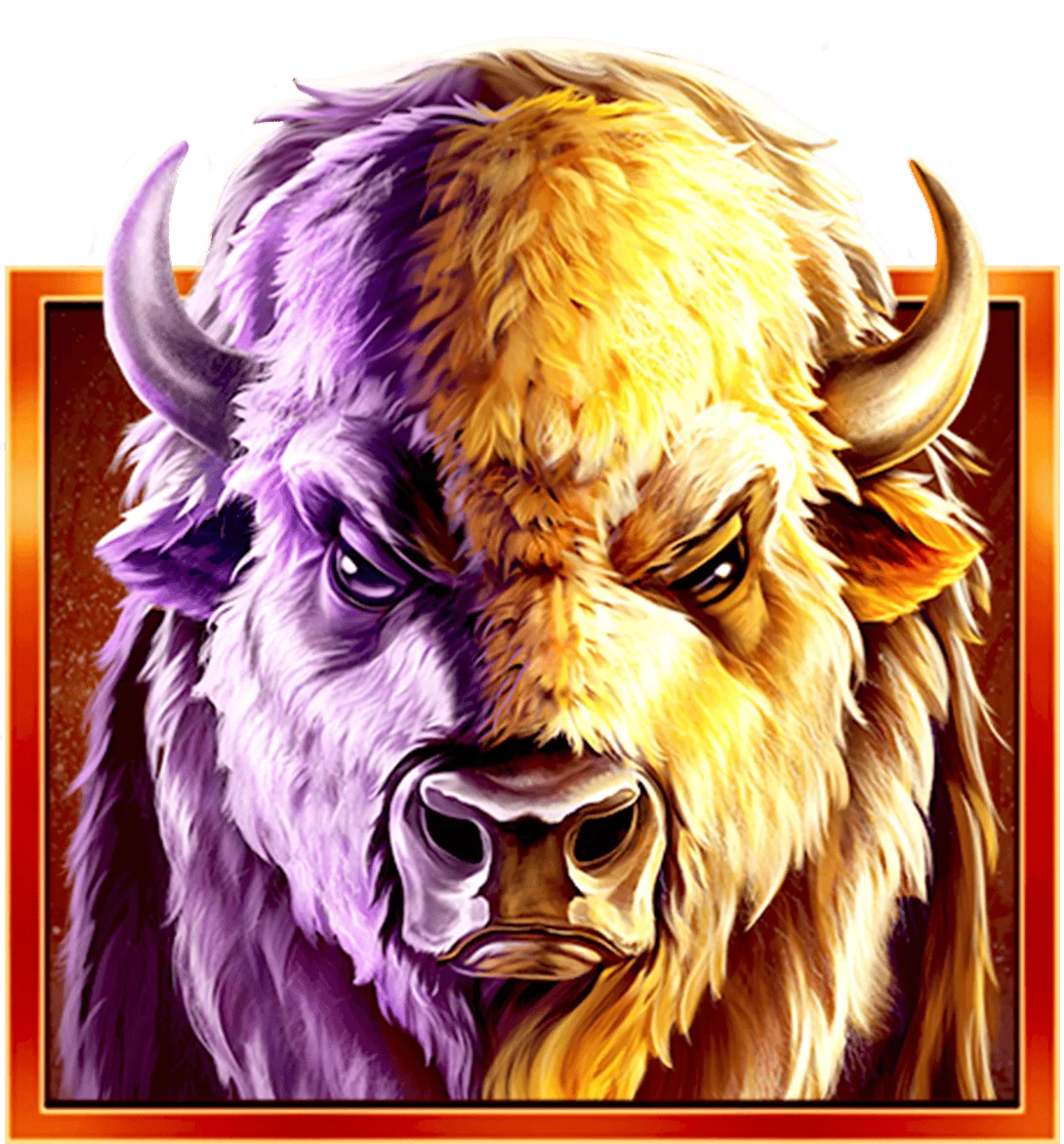 Buffalo Collector — Buffalo Collection