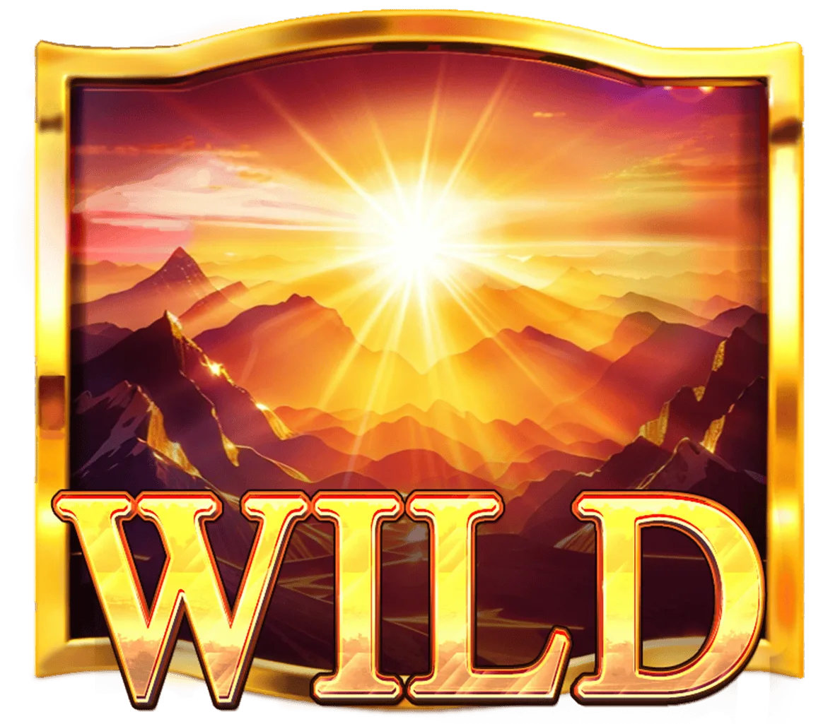 Buffalo Collector — Wilds