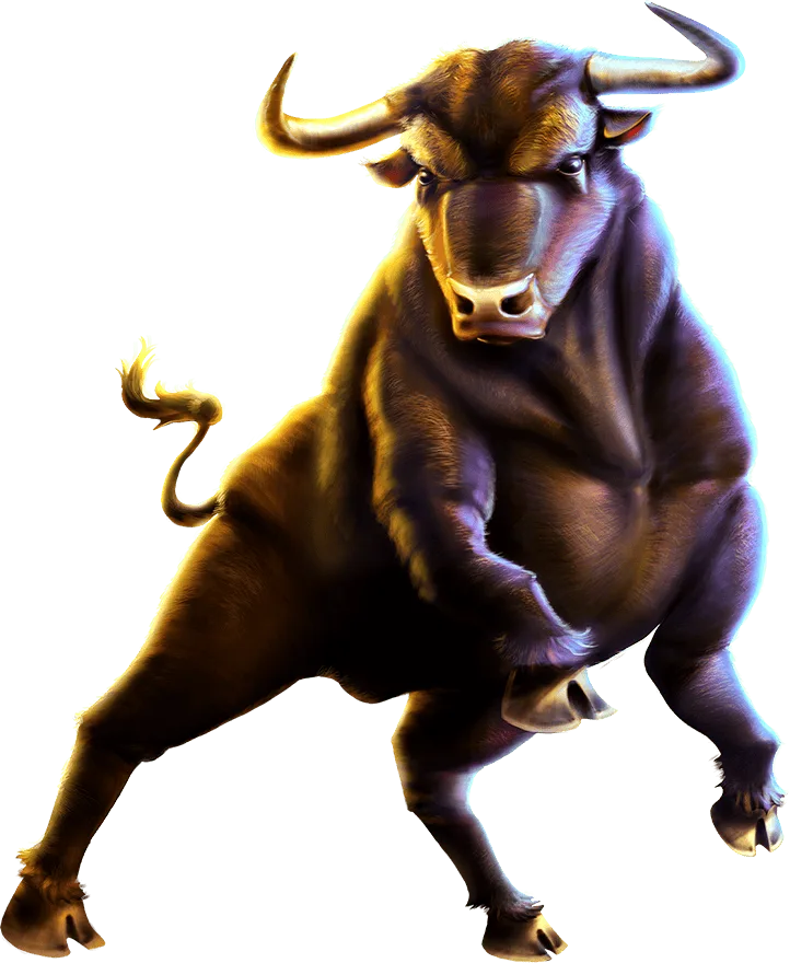 Bulls Run Wild — Wild Bulls