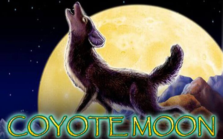 Coyote Moon