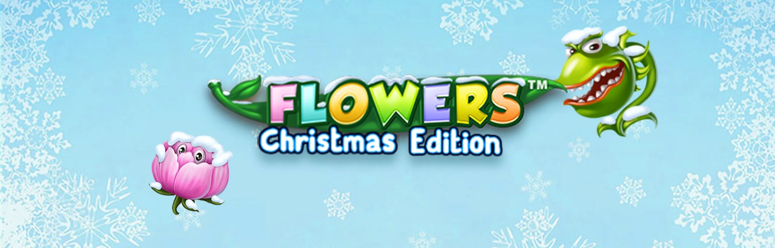 Flowers Christmas
