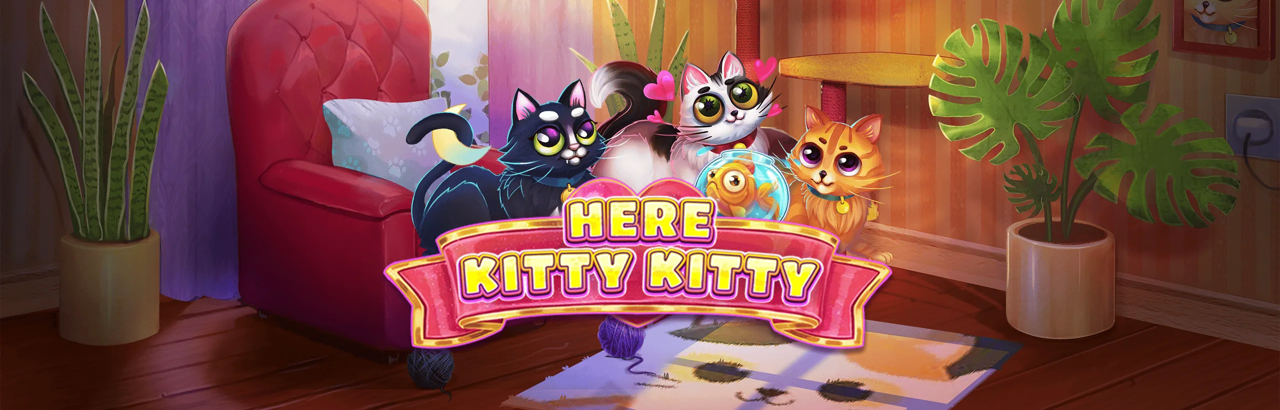 Here Kitty Kitty