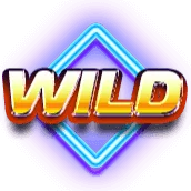Hot 4 Cash — Disco Wild