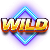 Hot 4 Cash — Disco Wild