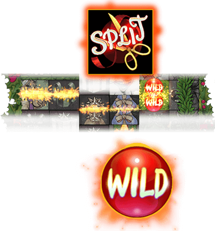 Jingle Balls — xSplit® Wilds & Wild