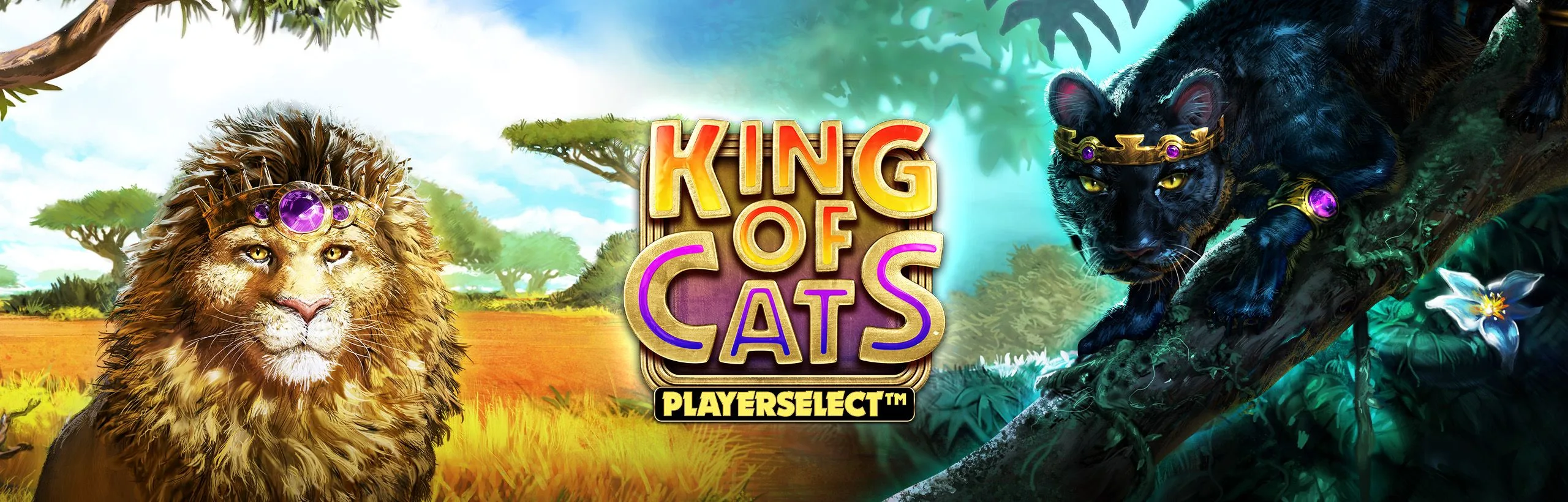 King of Cats