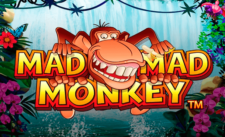 Mad Mad Monkey