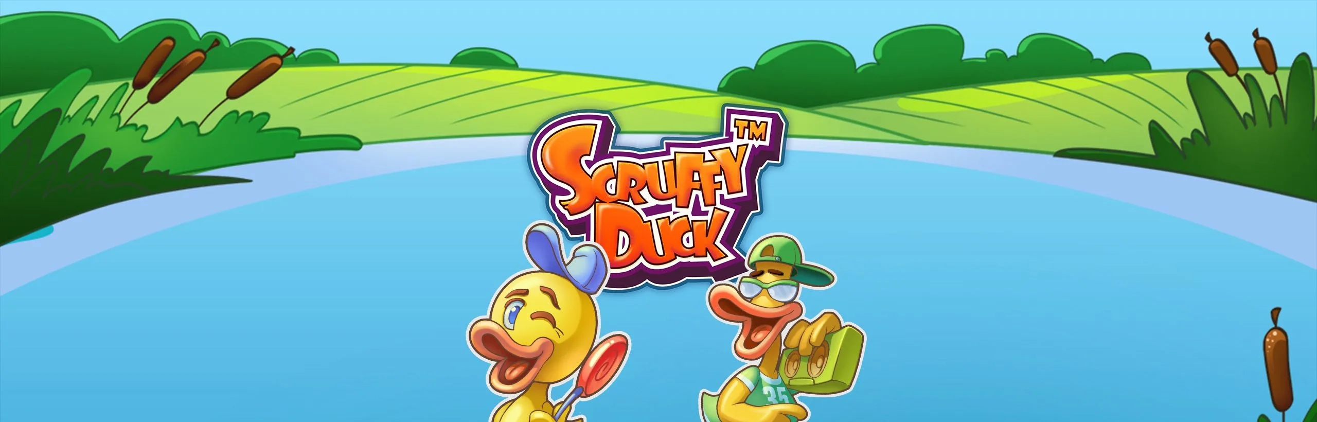Scruffy Duck