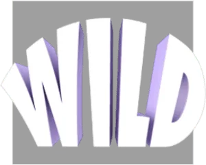 Space Wars™ — Wild Substitution