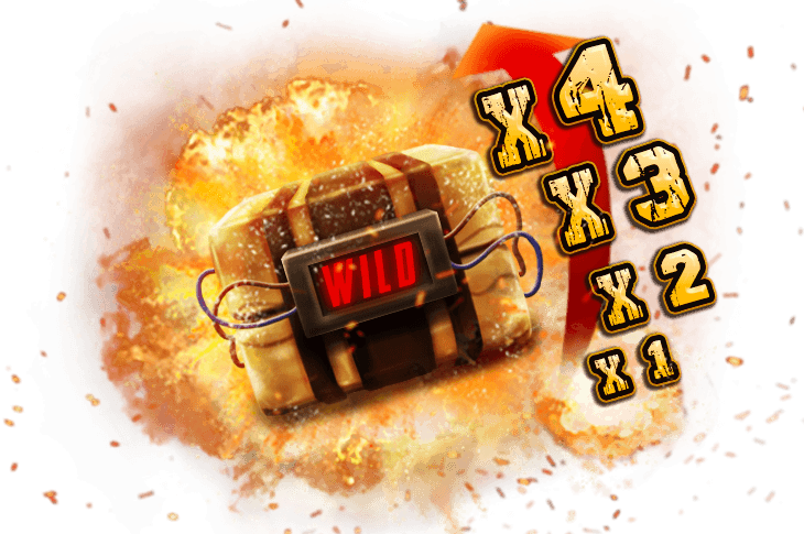The Border — xBomb® Wild