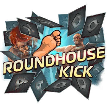 The Cage — ROUNDHOUSE KICK