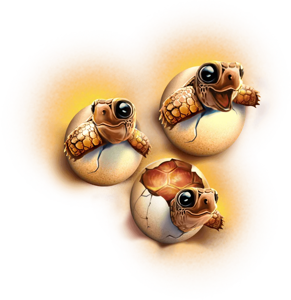 Turtle Paradise — Egg Nests