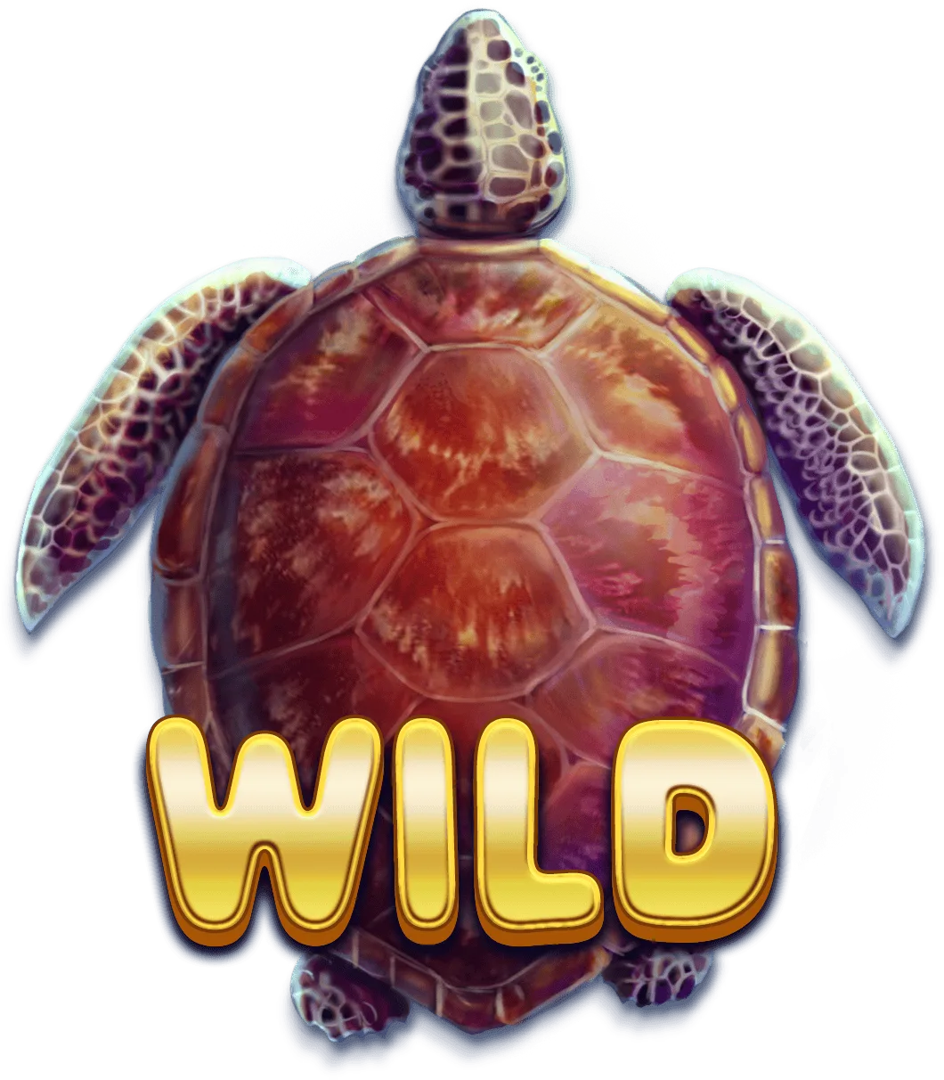 Turtle Paradise — Turtle Wilds