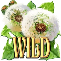 Wings of Riches™ — Spreading Wild