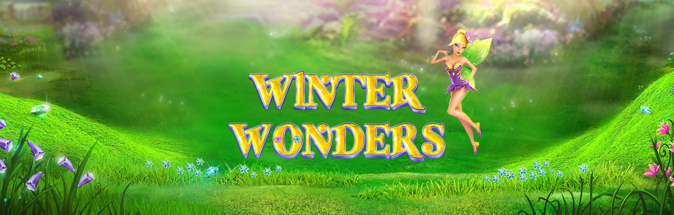 Winter Wonders